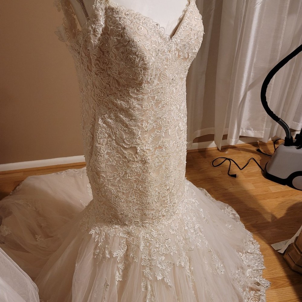 Wedding Dress Size 14 Pink Champagne - Picture 15 of 16